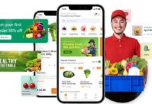 How Grocery Delivery App Development Companies Are Changing the Game